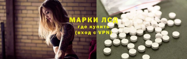 стафф Алексин
