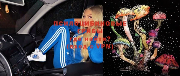ешки Алзамай