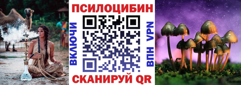 Галлюциногенные грибы прущие грибы  Кашин 